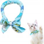 Collar Refrigerante Perro