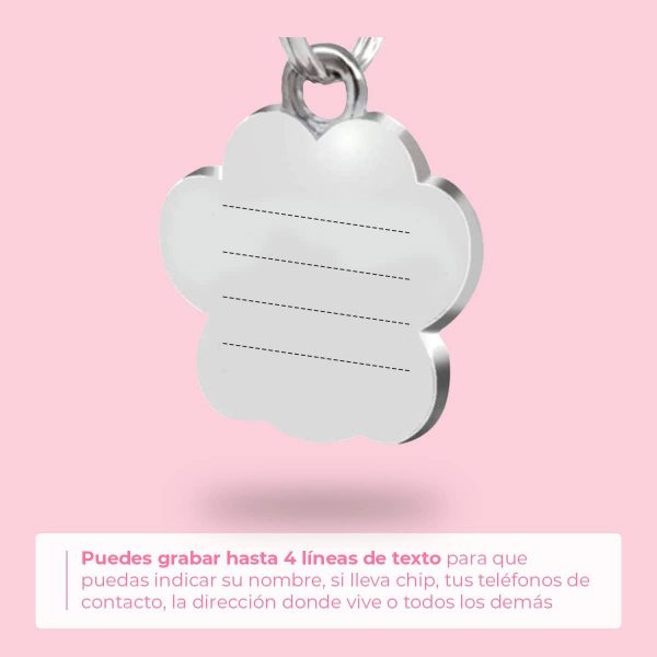 Chapa Perro Grabada en Forma de Pata con Purpurina