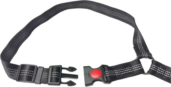 cinturón de seguridad