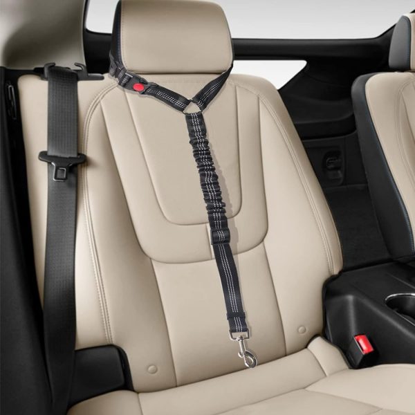 cinturón de seguridad