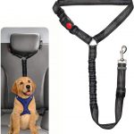 cinturón de seguridad