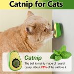 Bola de Hierba Gatera